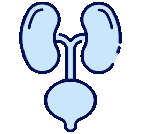 UROLOGIST